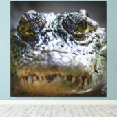 Toile crocodile dans l'eau (Insitu (Plancher de Bois))
