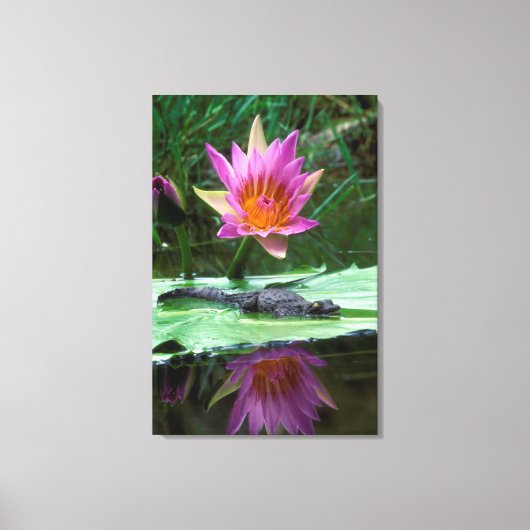 Toile Crocodile du Nil (Crocodylus Niloticus) (Recto)