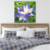 Toile Crocus (Insitu(Chambre))