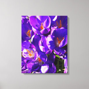TOILE CROCUS DE PRINTEMPS