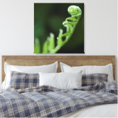 Toile Croissance (Insitu(Chambre))