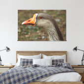 Toile Croix du cygne gris (Insitu(Chambre))