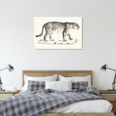 Toile Croquis Brodtmann Leopard (Insitu(Chambre))