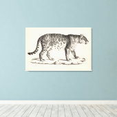 Toile Croquis Brodtmann Leopard (Insitu (Plancher de Bois))