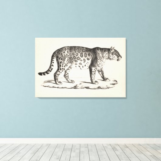 Toile Croquis Brodtmann Leopard (Insitu (Plancher de Bois))