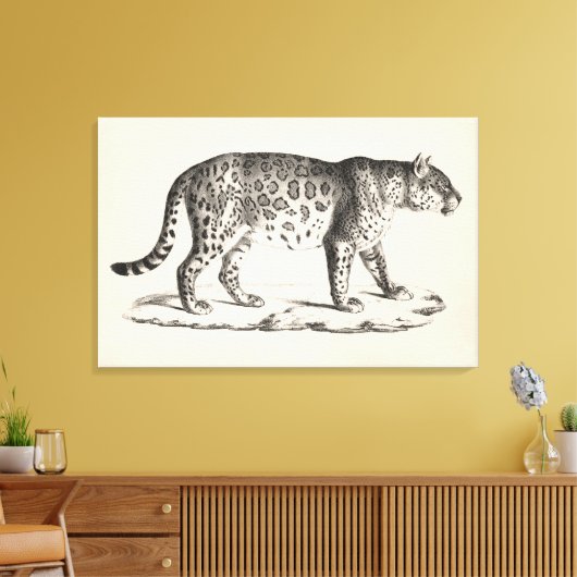 Toile Croquis Brodtmann Leopard (Insitu(Salon))