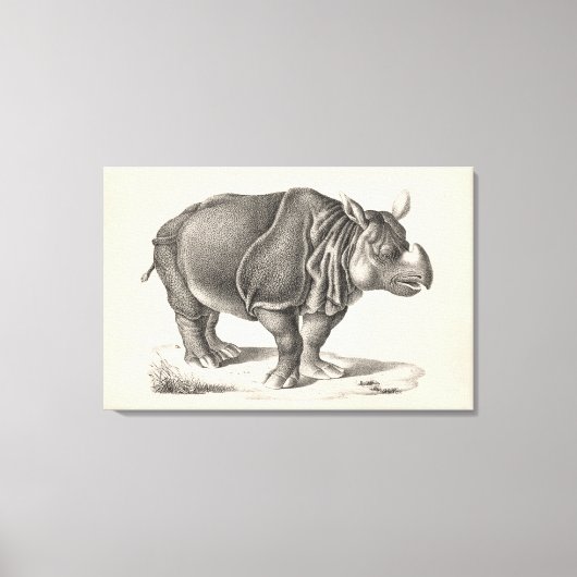 Toile Croquis Brodtmann Rhinoceros (Recto)