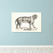 Toile Croquis Brodtmann Tiger (Insitu (Plancher de Bois))