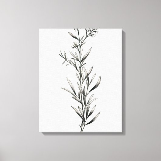 Toile Croquis monochrome simple (Recto)