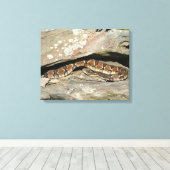 Toile Crotale à Shenandoah National Park (Insitu (Plancher de Bois))