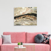 Toile Crotale dans le parc national de Shenandoah (Insitu(Salon))