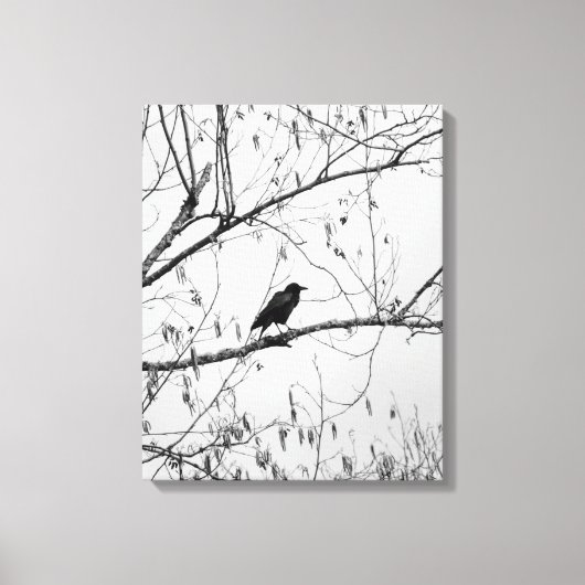 Toile Crow dans un Birch Tree (Recto)