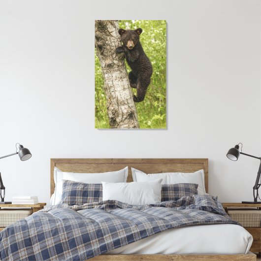 Toile Cube d'ours noir dans l'arbre (Insitu(Chambre))