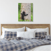 Toile Cube d'ours noir | Great Smoky Mountains (Insitu(Chambre))