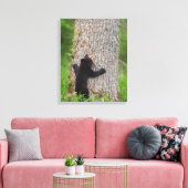 Toile Cube d'ours noir | Great Smoky Mountains (Insitu(Salon))