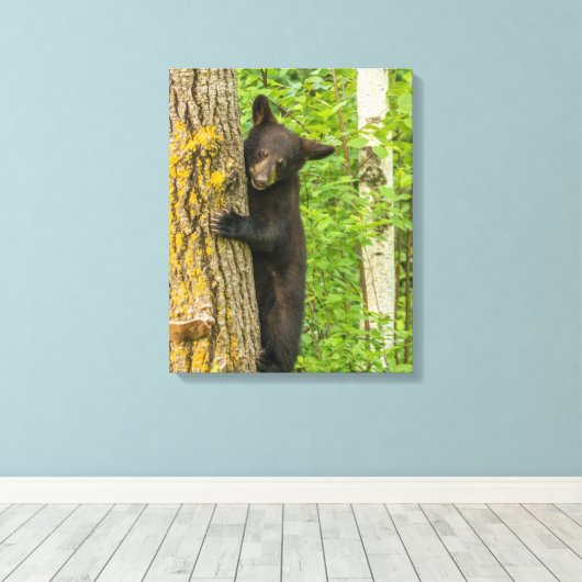 Toile Cube d'ours noir | Minnesota (Insitu (Plancher de Bois))