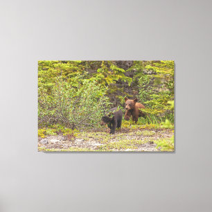 Toile Cubes d'ours