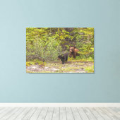 Toile Cubes d'ours (Insitu (Plancher de Bois))