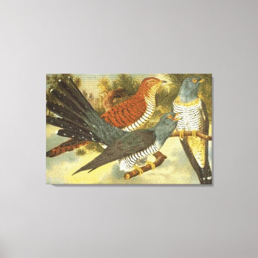 Toile Cuckoo Birds with Modern Art Canvas Imprimer (Recto)