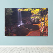 Toile Cucumber Falls, Ohiopyle State Park, Pennsylvanie (Insitu (Plancher de Bois))