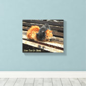 Toile Cuisses Catnap (Insitu (Plancher de Bois))