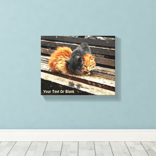 Toile Cuisses Catnap (Insitu (Plancher de Bois))