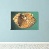 Toile Cuivre natif (Cu), Michigan, États-Unis (Insitu (Plancher de Bois))