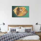 Toile Cuivre natif (Cu), Michigan, États-Unis (Insitu(Chambre))