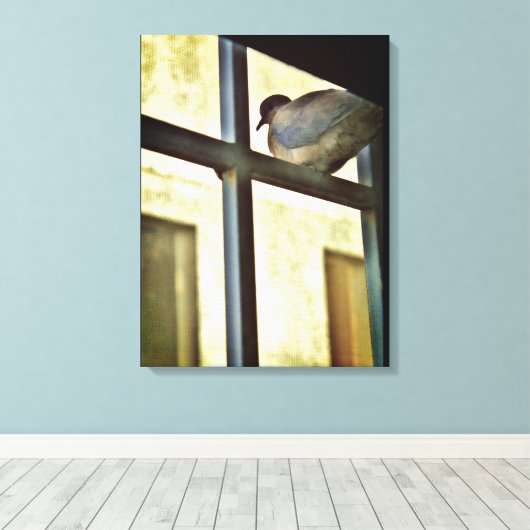 Toile Curious Dove (Insitu (Plancher de Bois))