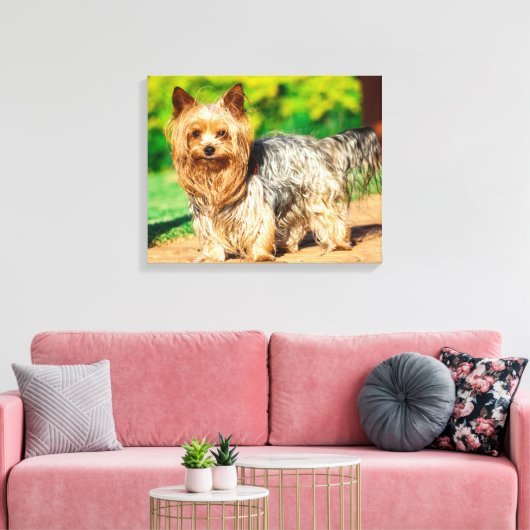 Toile Cute (Insitu(Salon))