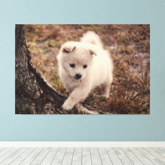 Toile Cute Adorable Fluffy Snowball Chien Chien Chien To (Insitu (Plancher de Bois))