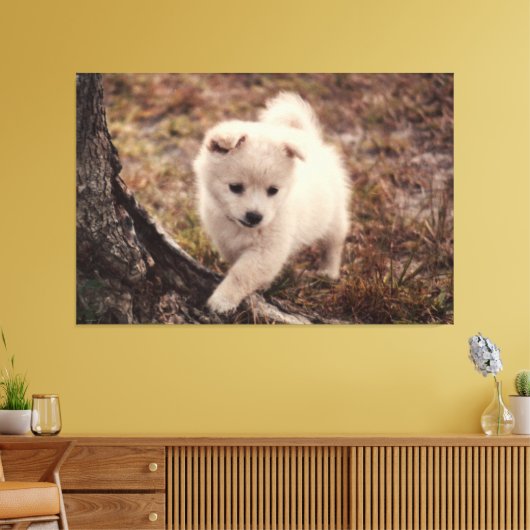 Toile Cute Adorable Fluffy Snowball Chien Chien Chien To (Insitu(Salon))