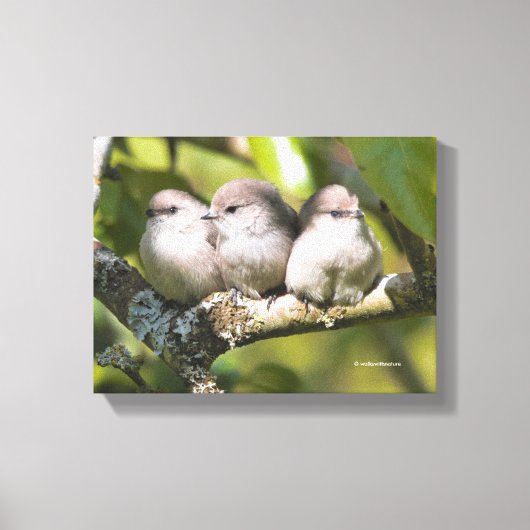 Toile Cute Baby Bushtit Songbirds (Recto)