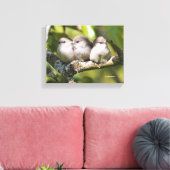 Toile Cute Baby Bushtit Songbirds (Insitu(Salon))