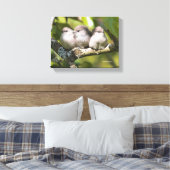Toile Cute Baby Bushtit Songbirds (Insitu(Chambre))