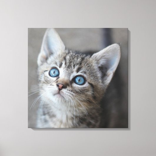 Toile Cute Kitten (Recto)