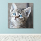 Toile Cute Kitten (Insitu (Plancher de Bois))