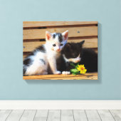 Toile Cute Kittens Fleurs Chat Photo (Insitu (Plancher de Bois))