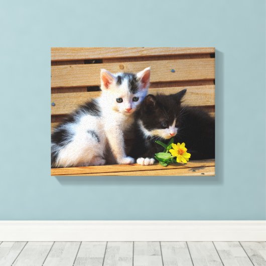 Toile Cute Kittens Fleurs Chat Photo (Insitu (Plancher de Bois))