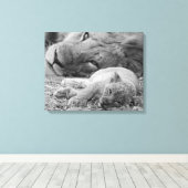 Toile Cute Lion Cub Repose Avec Le Père (Insitu (Plancher de Bois))