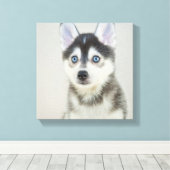 Toile Cute Petit Pomsky Puppy (Insitu (Plancher de Bois))