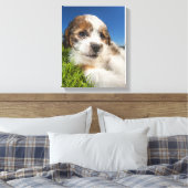 Toile Cute puppy dog (Insitu(Chambre))