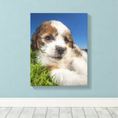 Toile Cute puppy dog (Insitu (Plancher de Bois))