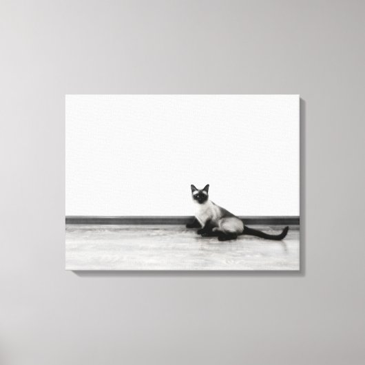 Toile CUTE Siamese Portrait de chat (Recto)