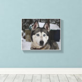 Toile Cute Siberian Husky (Insitu (Plancher de Bois))