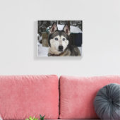 Toile Cute Siberian Husky (Insitu(Salon))