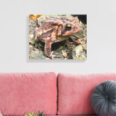 Toile Cute Southern Toad Close Up (Insitu(Salon))