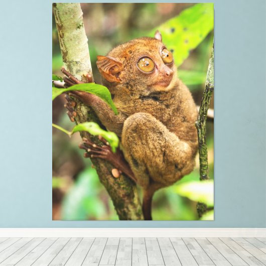 Toile Cute Tarsier Singe Faune (Insitu (Plancher de Bois))