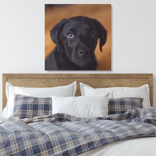 Toile Cutest Baby Animals | Black Labrador Puppy (Insitu(Chambre))