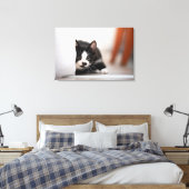 Toile Cutest Baby Animals | Black & White Kitten (Insitu(Chambre))